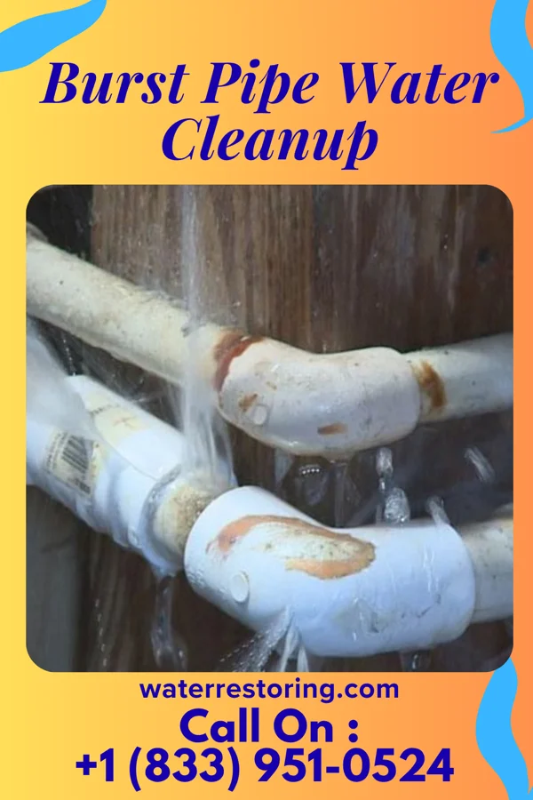 Burst Pipe Water Cleanup in Bonnetsville, NC