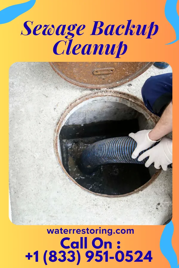Sewage Backup Cleanup in Bonnetsville, NC