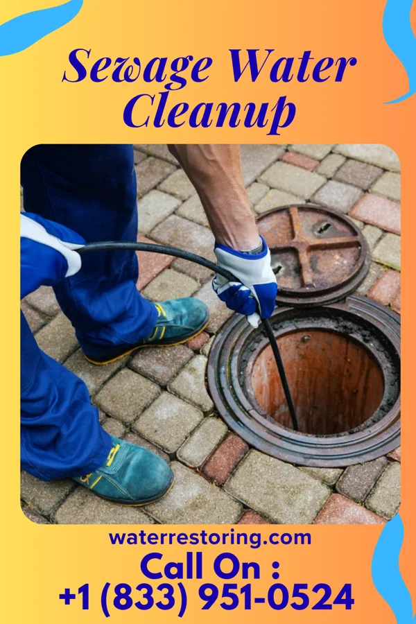 Sewage Water Cleanup in Bonnetsville, NC